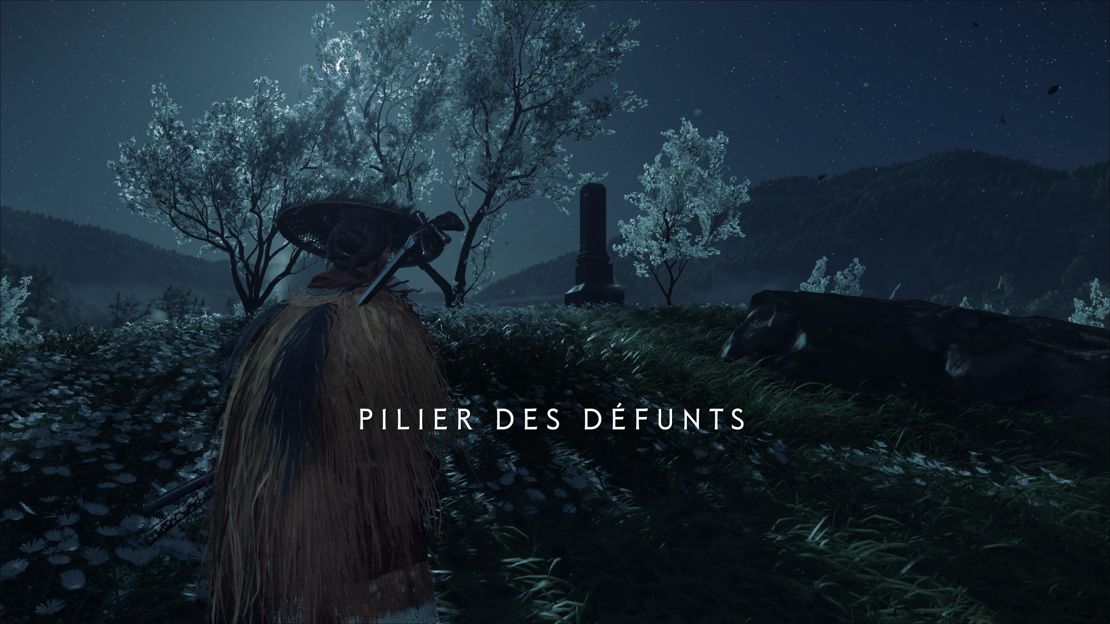 Ghost of yotei pilier des defunts prairies de yotei 18 31