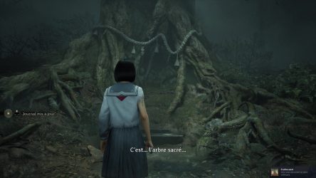 Image d'illustration pour l'article : Trouver le cèdre millénaire (Ô arbre sacré) - Silent Hill f