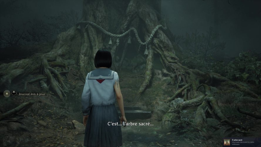 Image d\'illustration pour l\'article : Trouver le cèdre millénaire (Ô arbre sacré) – Silent Hill f