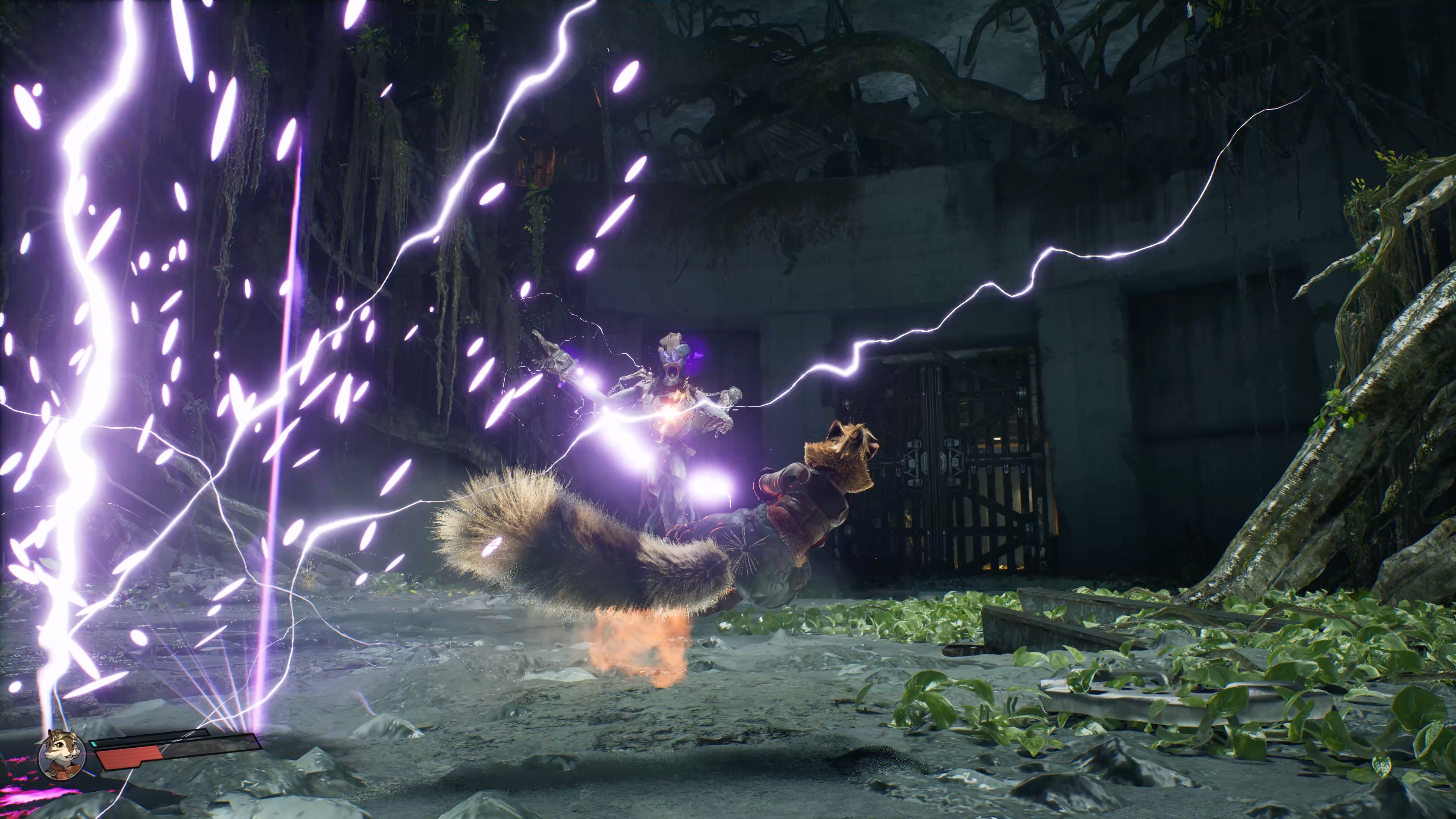 Zoopunk 6 6 Zoopunk 6 6