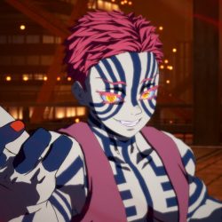 Demon slayer hinokami 2 5