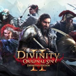 Divinity: original sin ii - enhanced edition