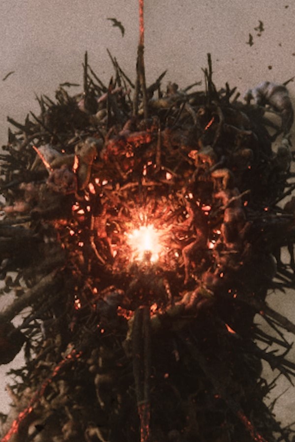 Jaquette de Divinity