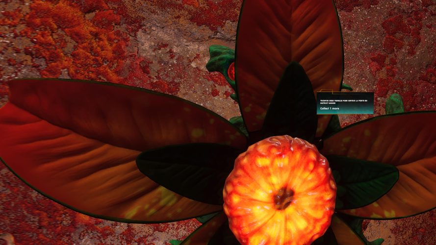 Reach test 8 8 Reach test 8 8