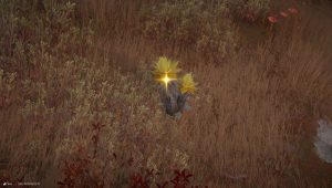 Image d'illustration pour l'article : Sablante Arknights Endfield : comment obtenir cette plante ?