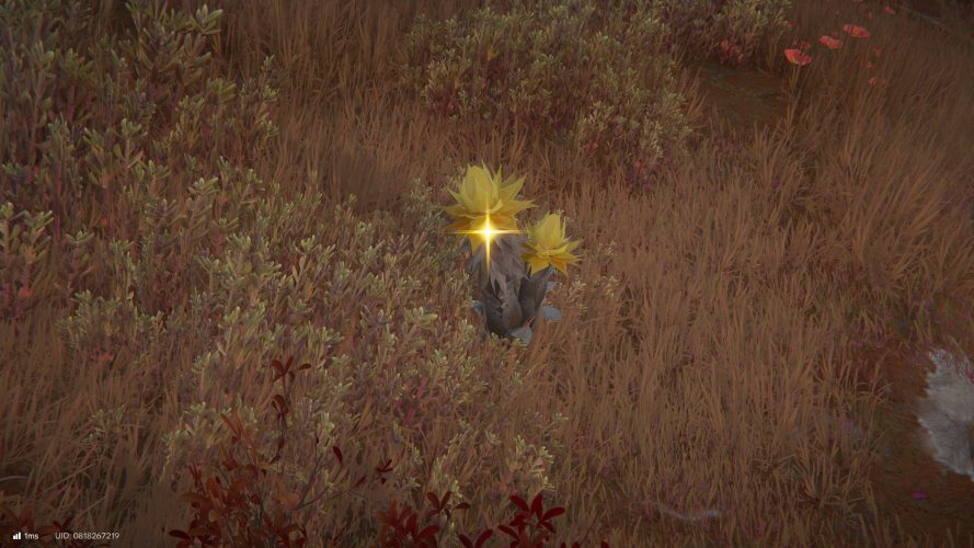 Image d\'illustration pour l\'article : Sablante Arknights Endfield : comment obtenir cette plante ?