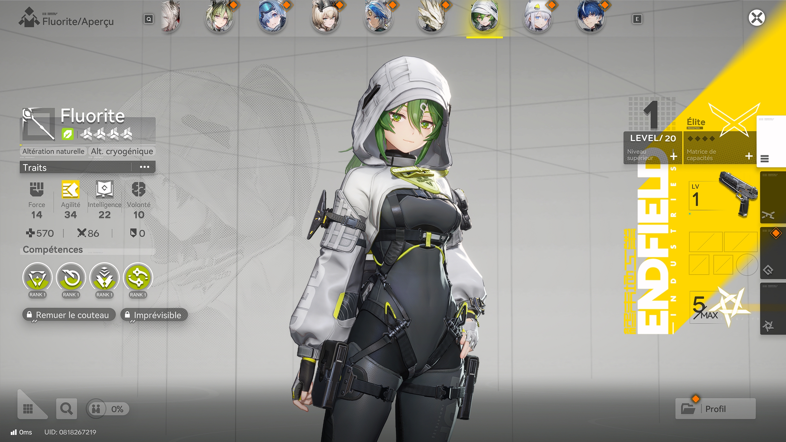 Arknights endfield fluorite