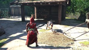 Image d'illustration pour l'article : Panique dans les pâturages – Assassin&rsquo;s Creed Shadows