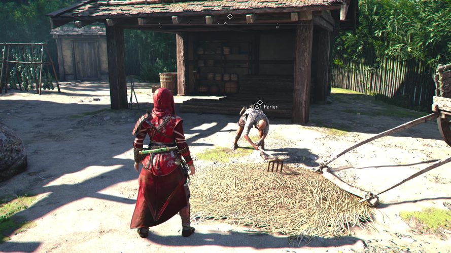 Image d\'illustration pour l\'article : Panique dans les pâturages – Assassin&rsquo;s Creed Shadows