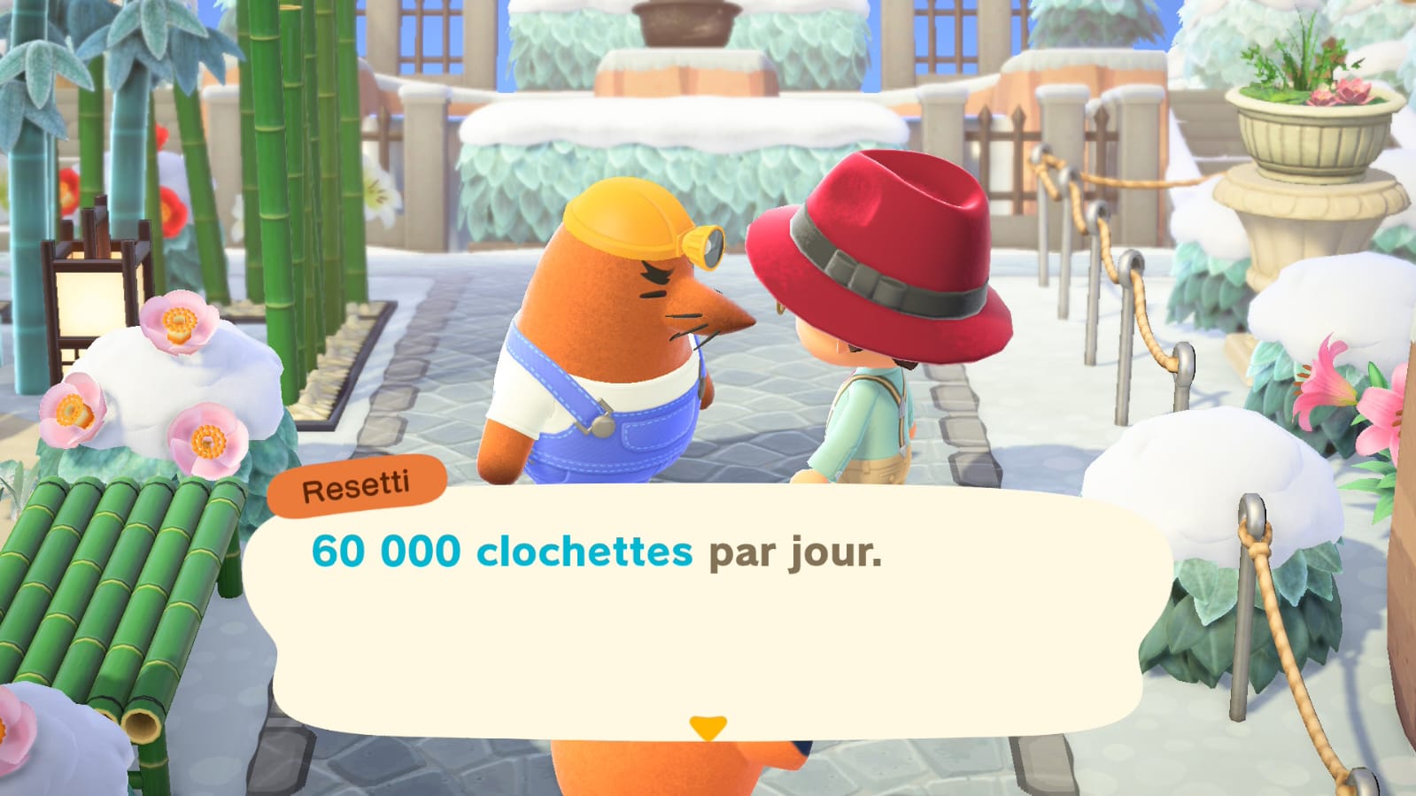 Prix resetti animal crossing new horizons service nettoyage 2