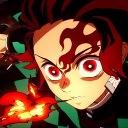 Demon slayer hinokami 2 12