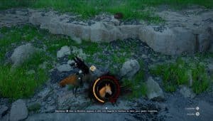 Image d'illustration pour l'article : Où et comment trouver de nouveaux chevaux – Crimson Desert