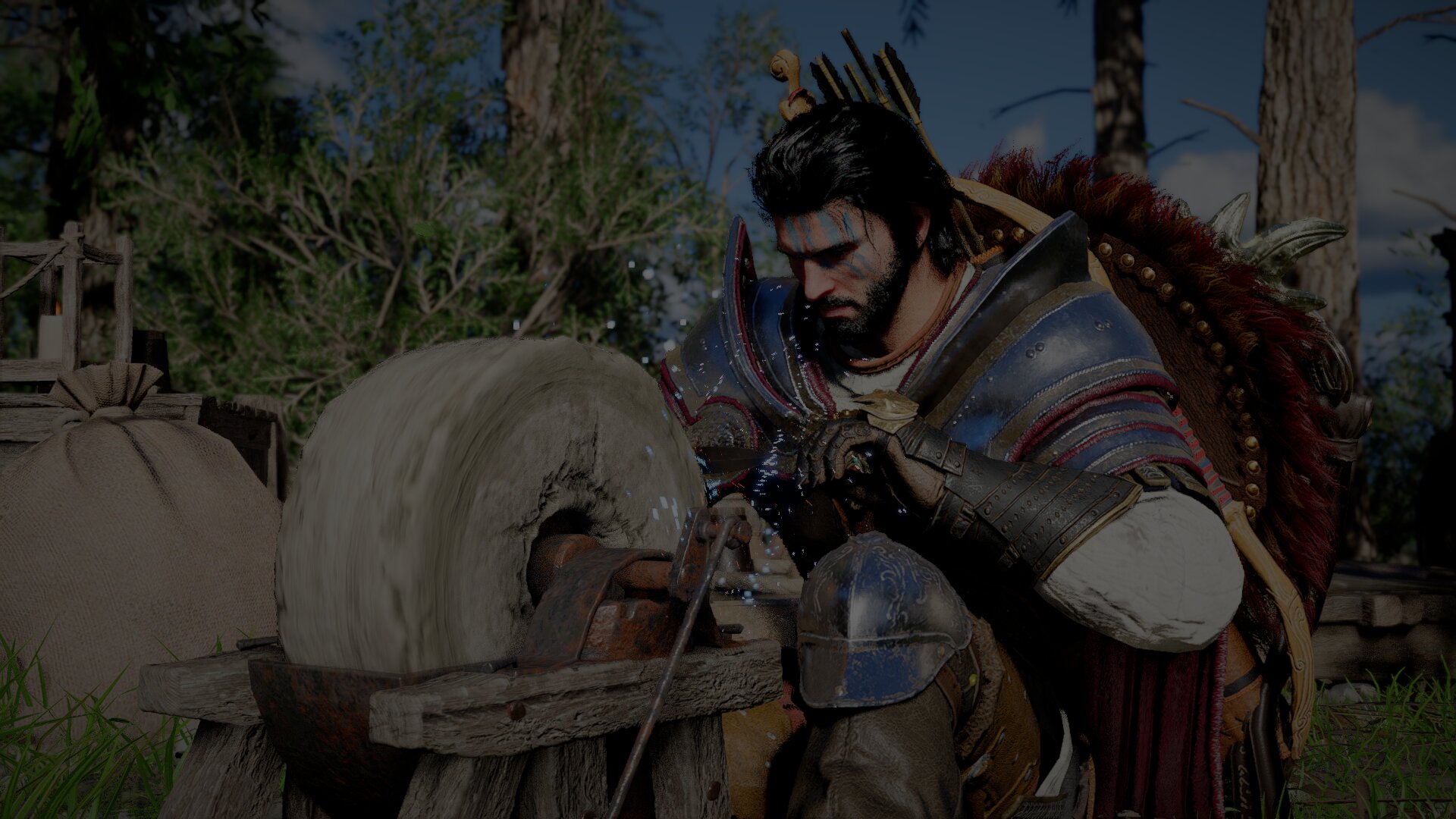 Crimson desert 379 13