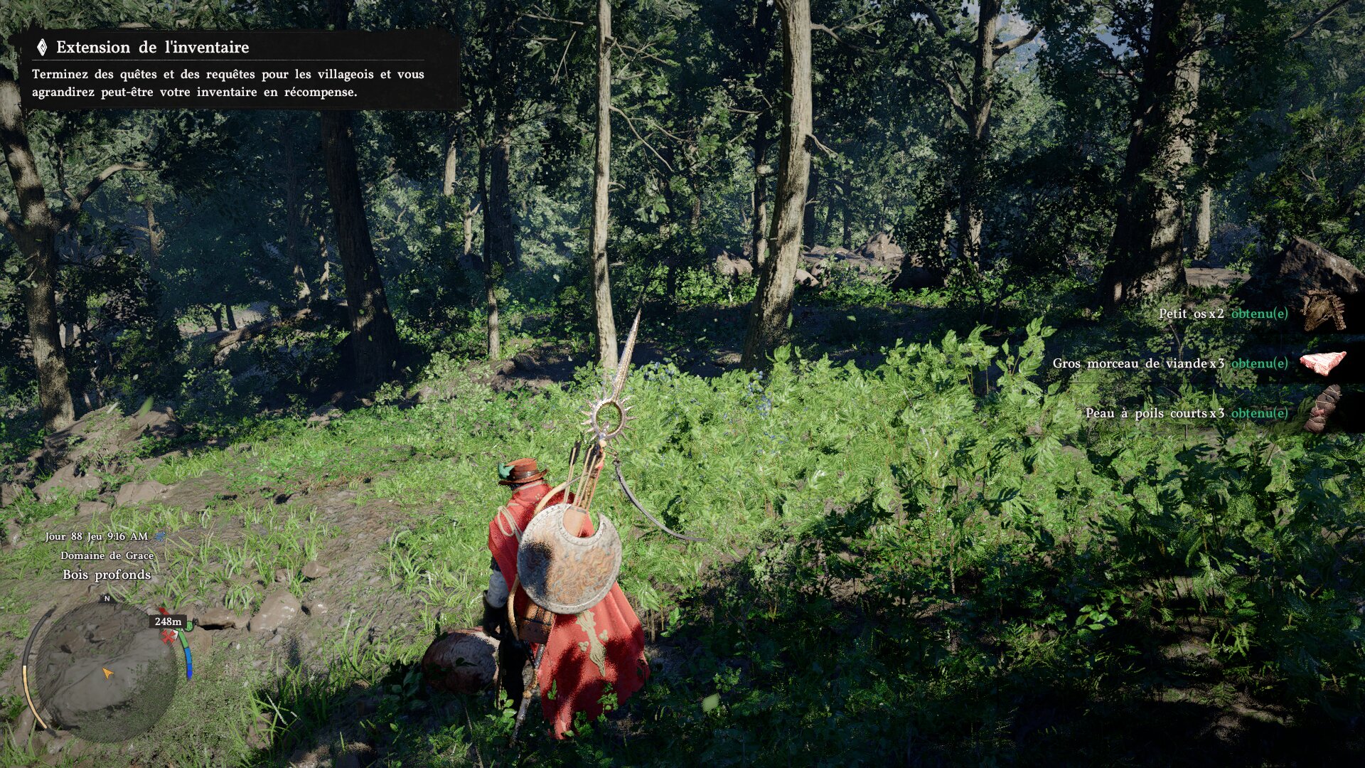 Crimson desert 496 4