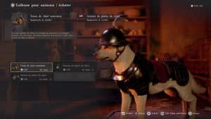 Image d'illustration pour l'article : Comment habiller son chien ou son chat – Crimson Desert