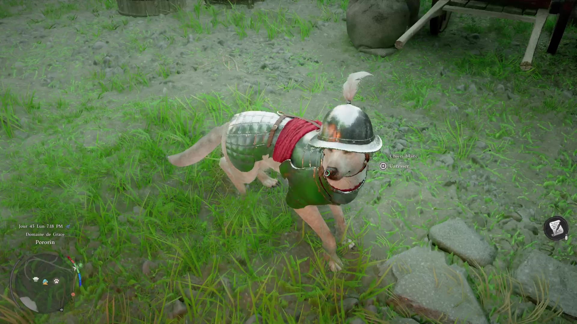 Crimson desert habiller un familier 4 8 Crimson desert habiller un familier 4 8