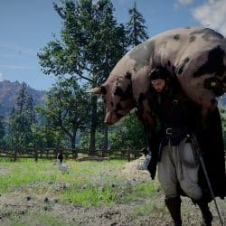 Crimson desert news action 2