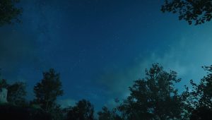 Image d'illustration pour l'article : Nuit Noire – Crimson Desert