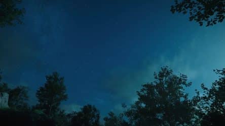 Image d'illustration pour l'article : Nuit Noire - Crimson Desert