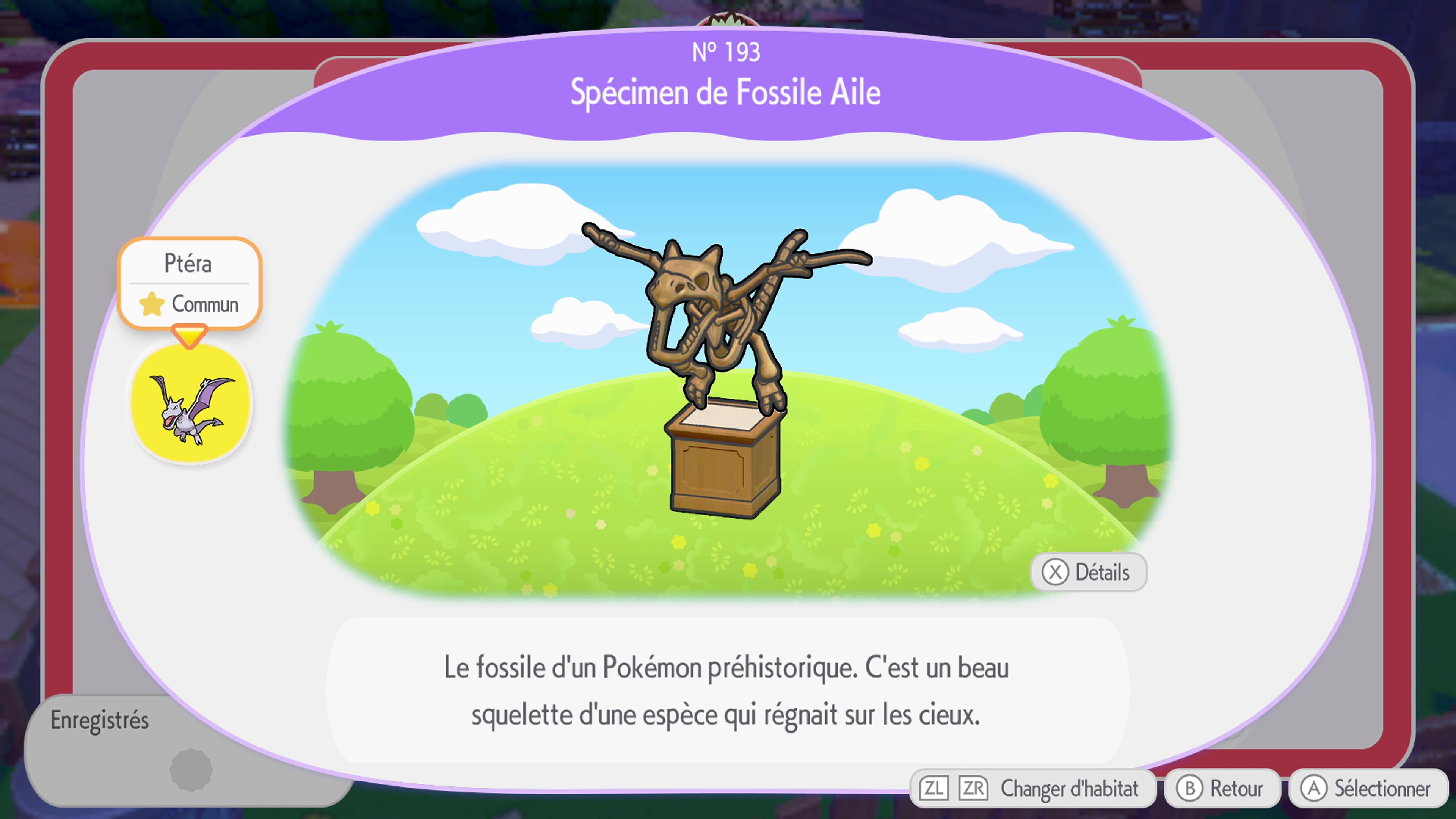 Pokemon pokopia guide habitat 181a209 10 163