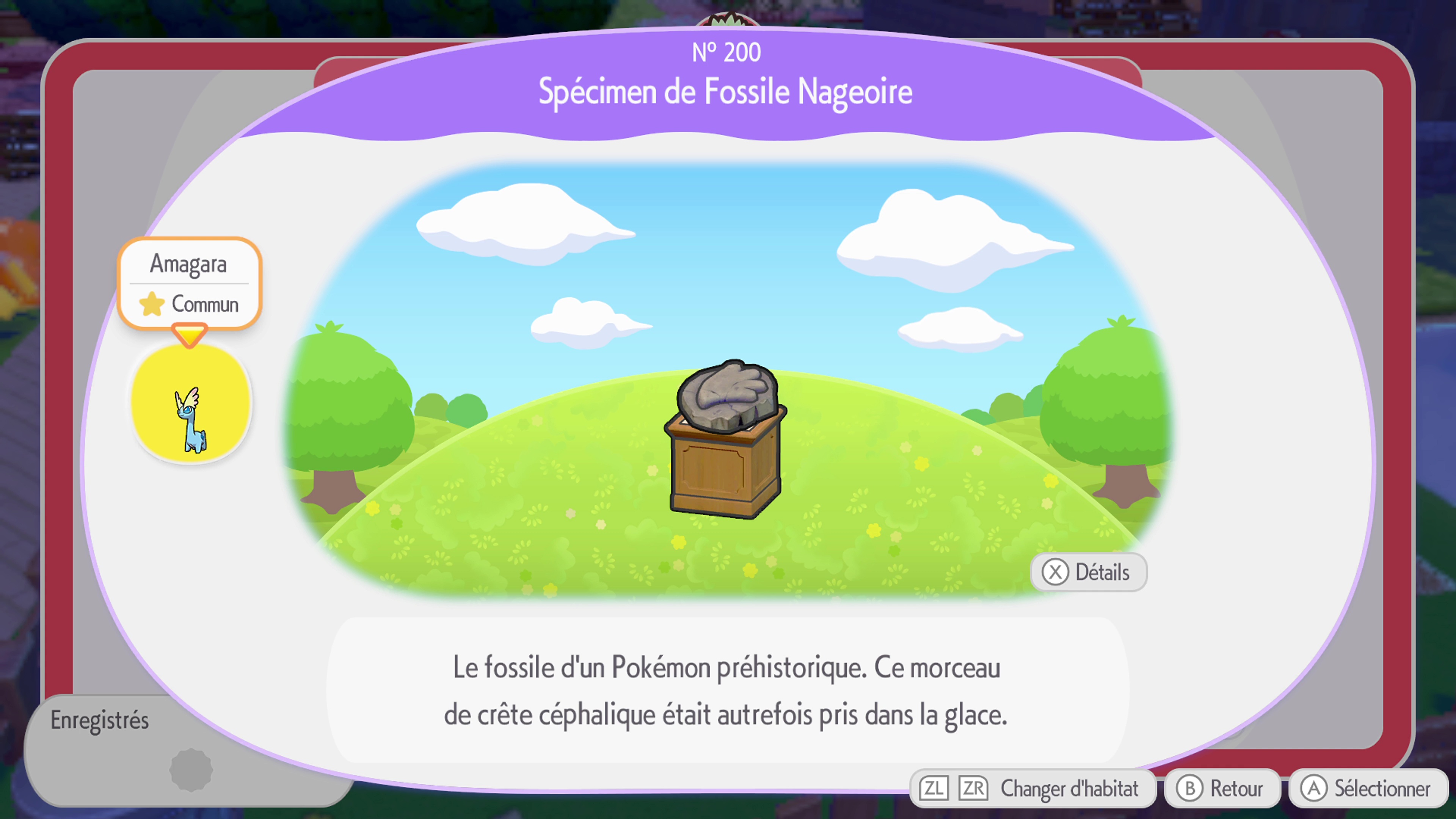 Pokemon pokopia guide habitat 181a209 15 168