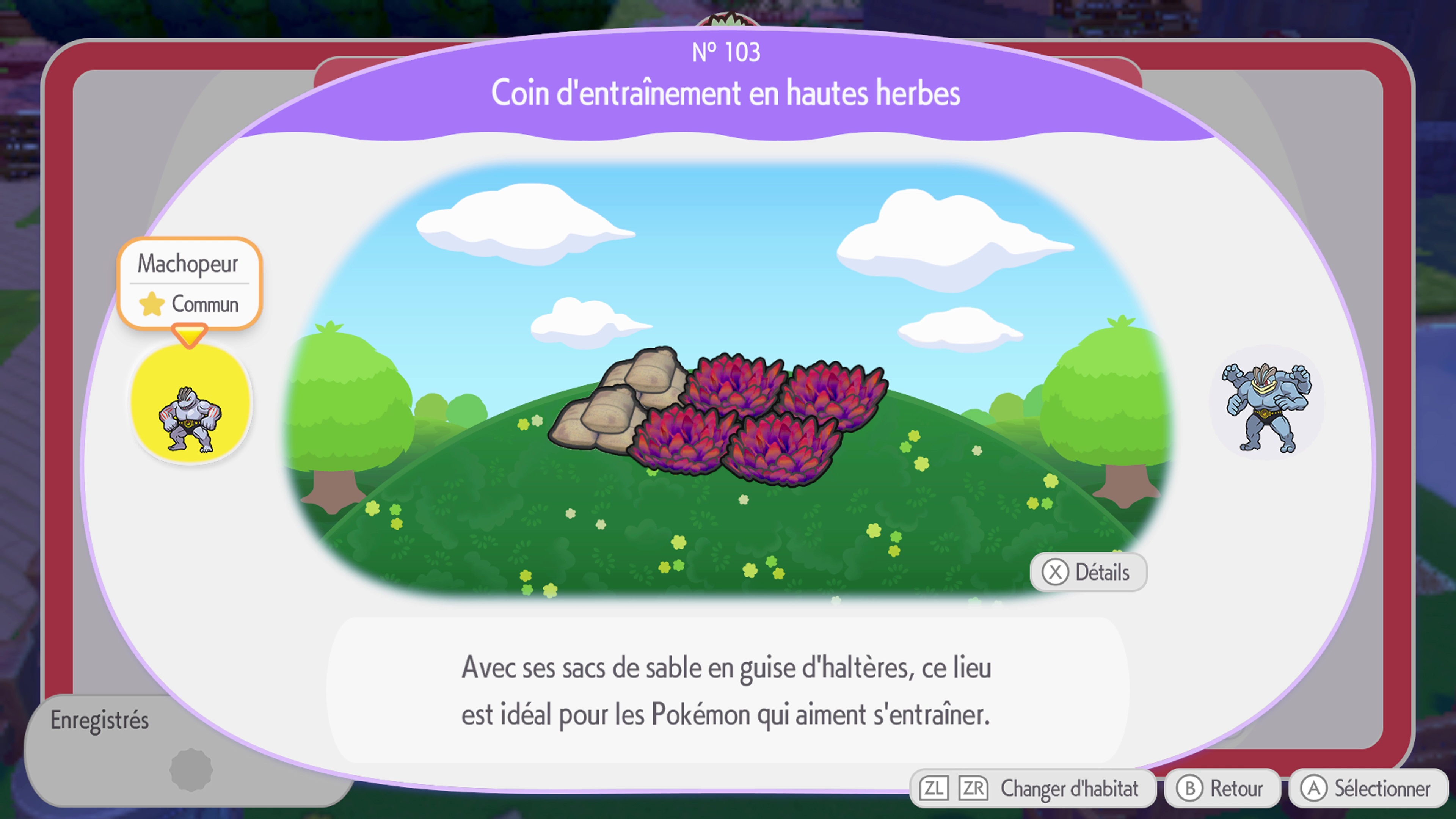 Pokemon pokopia guide habitats 100a110 3 93