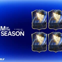 La team of the season