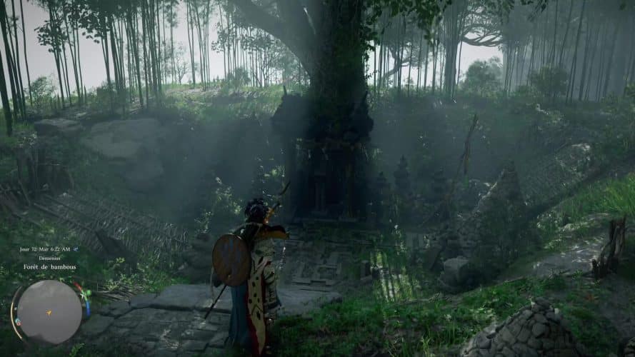 Image d\'illustration pour l\'article : Comment résoudre l&rsquo;énigme des Ruines de la Forêt de bambous Seonangdang – Crimson Desert