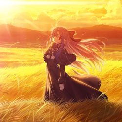 Melty blood twi lumina 4