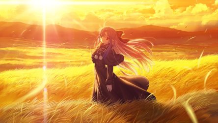 Image d\'illustration pour l\'article : Melty Blood: Twi-Lumina viendra enrichir la proposition de Melty Blood: Type Lumina dès 2027