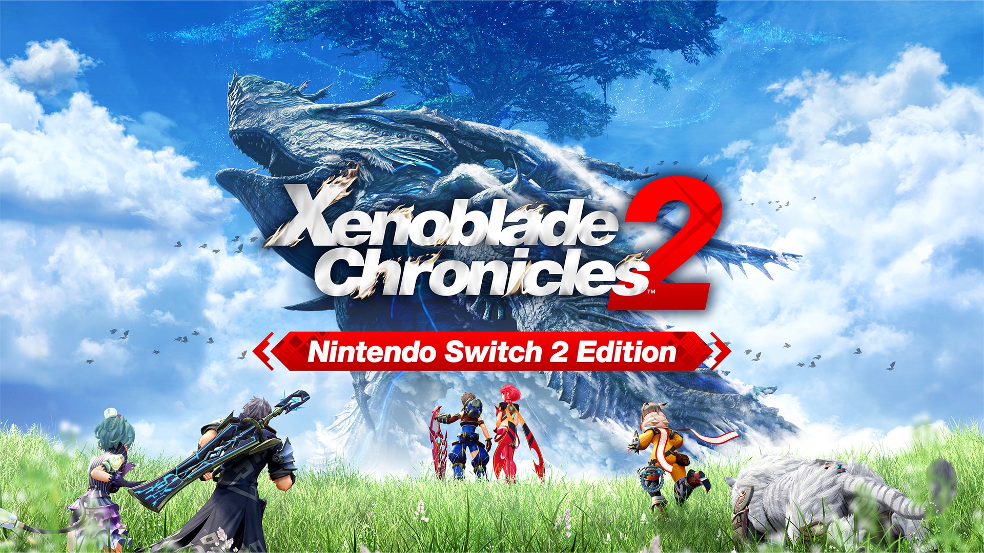 Xenoblade chronicles definitive edition 2 key art 13