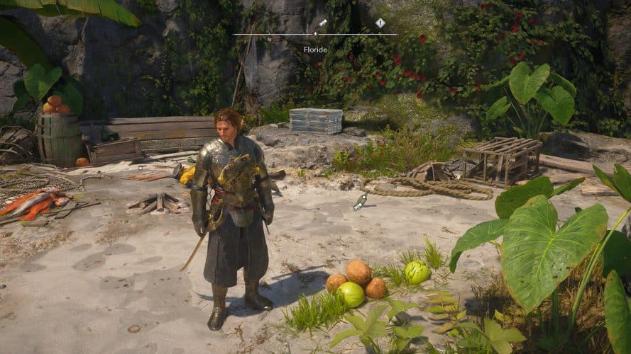 Assassins creed black flag resynced floride secret 4 47 Assassins creed black flag resynced floride secret 4 47