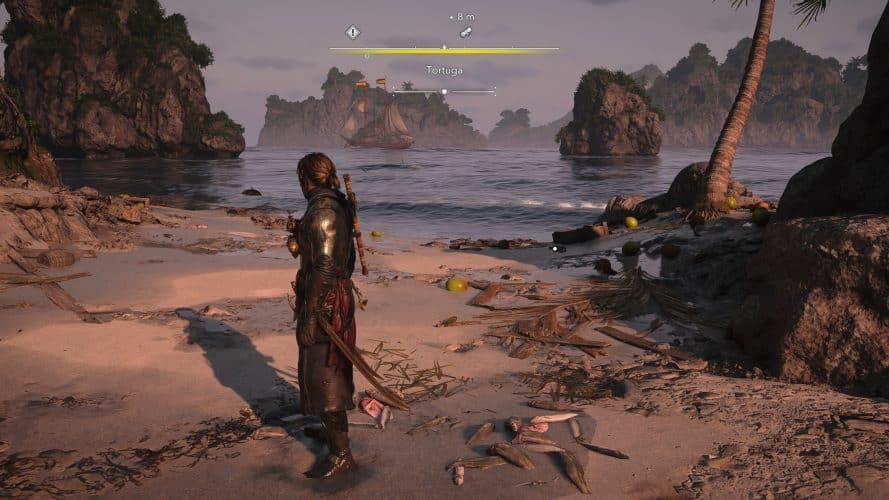 Assassins creed black flag resynced tortuga secret 4 87 Assassins creed black flag resynced tortuga secret 4 87