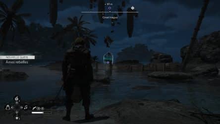 Image d'illustration pour l'article : Comment débloquer les failles de l'animus et où les trouver? - Assassin's Creed Black Flag Resynced