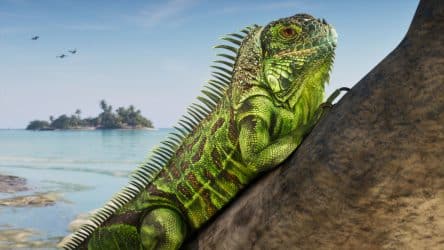 GTA 6 aura plus de 170 espèces d’animales représentées en jeu, avec la possibilité de visiter des zoos