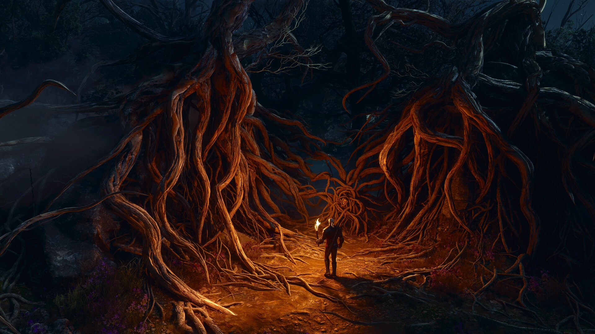 The witcher 3 5 1 The witcher 3 5 1