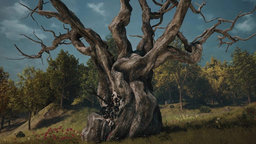 Tous les Arbres-Monde – Soulframe
