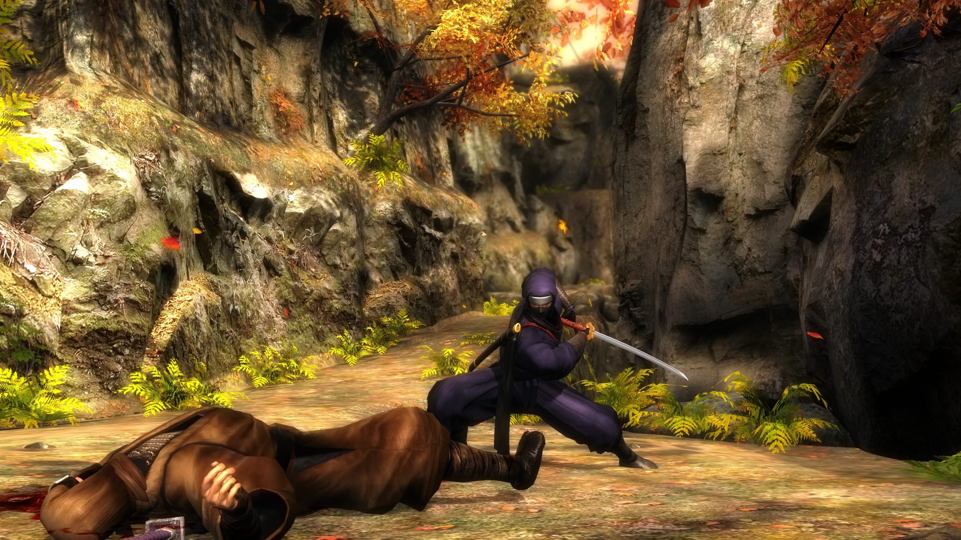 Ninja gaiden intro e1761691723139 7 Ninja gaiden intro e1761691723139 7